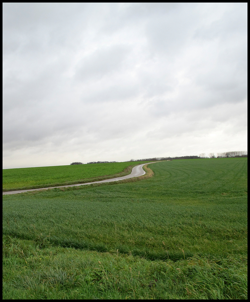 Hollogne sur Geer is een landbouwdorp in Droog-Haspengouw met een vrij grote dorpskom. Er is vooral akkerbouw en veeteelt. Er bevindt zich een suikerraffinaderij van de groep Tiense Suiker-Südzucker.
